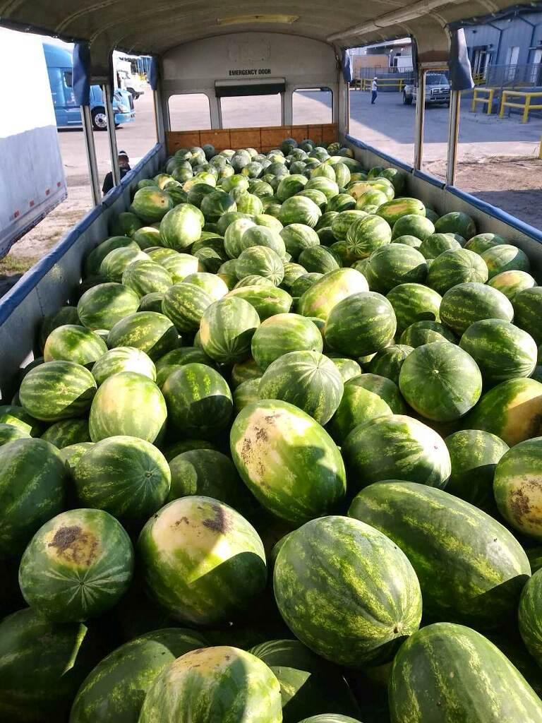 refrigerated freight watermelon shipment reefer truck miami florida logistics